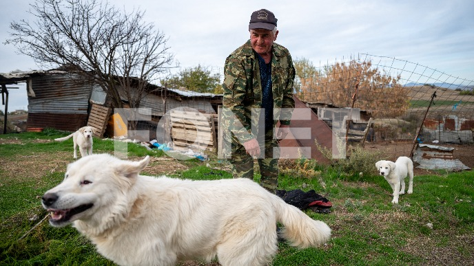 Odobren put ljubimaca u EU